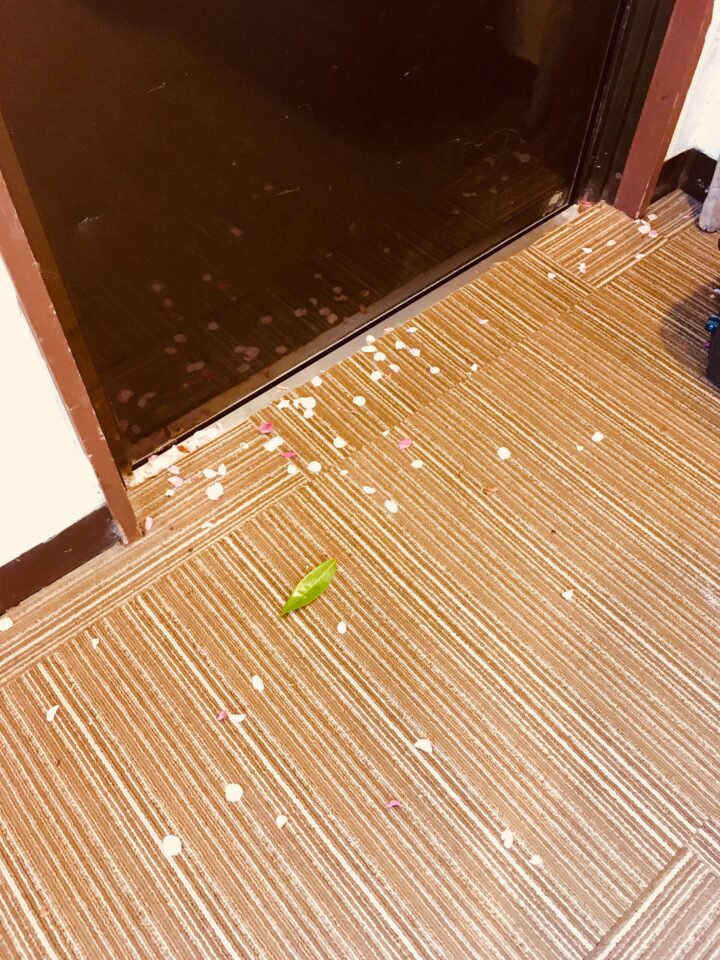 可愛らしいお客さまの画像