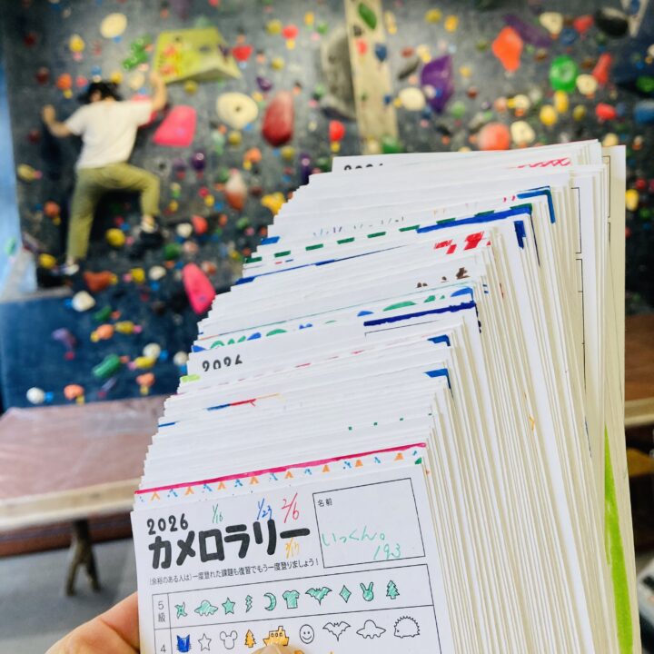 「カメロラリー」新春馬課題 ご参加ありがと◎の画像